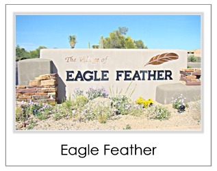 Eagle Feather Homes For Sale in Desert Mountain Scottsdale AZ
